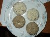 DSC00906.jpg