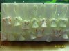 SDC11279.jpg