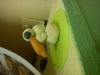 DSC01732.jpg